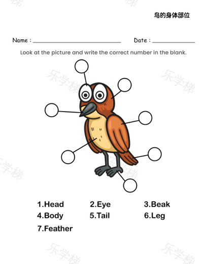 科学分解图